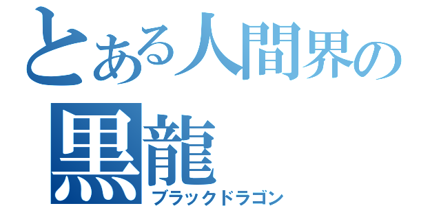 とある人間界の黒龍（ブラックドラゴン）