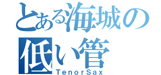 とある海城の低い管（ＴｅｎｏｒＳａｘ）