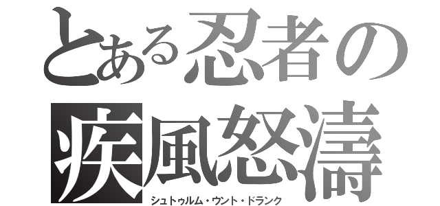 とある忍者の疾風怒濤（シュトゥルム・ウント・ドランク）