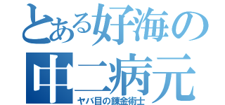 とある好海の中二病元ヤン説（ヤバ目の錬金術士）