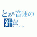 とある音速の針鼠（ソニック）