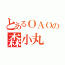 とあるＯＡＯの森小丸（）