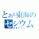 とある東海のセシウム（倒壊テレビ）