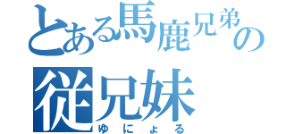 とある馬鹿兄弟の従兄妹（ゆにょる）