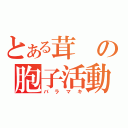 とある茸の胞子活動（バラマキ）