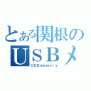 とある関根のＵＳＢメモリ（ＵＳＢｍｅｍｏｒｙ）