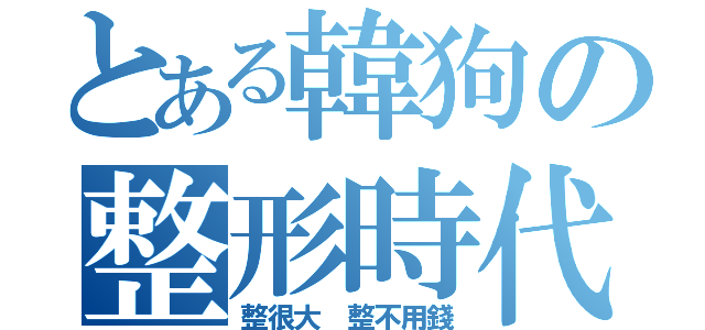 とある韓狗の整形時代（整很大 整不用錢）