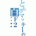 とあるマッキーの白Ｆ２（ガチ機体）