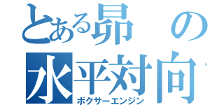 とある昴の水平対向（ボクサーエンジン）