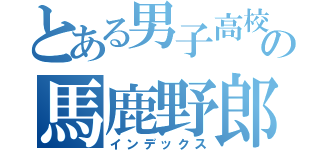 とある男子高校生のの馬鹿野郎（インデックス）