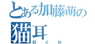 とある加藤萌の猫耳（引くわ）