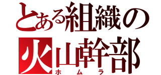 とある組織の火山幹部（ホムラ）