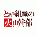 とある組織の火山幹部（ホムラ）