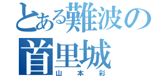 とある難波の首里城（山本彩）