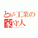 とある工業の家守人（ニュータイプ（ニート））