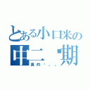 とある小口米の中二晚期（真的么。。）