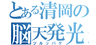 とある清岡の脳天発光（ツルッパゲ）