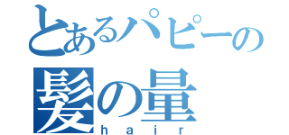 とあるパピーの髪の量（ｈａｉｒ）