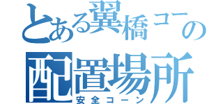 とある翼橋コーンの配置場所（安全コーン）