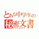 とある中学生の秘密文書（アザミとカエデ）