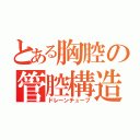 とある胸腔の管腔構造物（ドレーンチューブ）