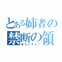 とある姉者の禁断の領域（来ちゃダメ！）