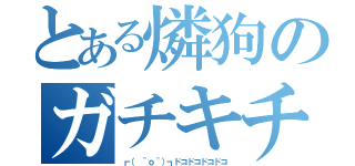 とある燐狗のガチキチ（┏（ ＾ｏ＾）┓ドコドコドコドコ）