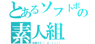 とあるソフトボールの素人組（体重がΣ（゜д゜ｌｌｌ））