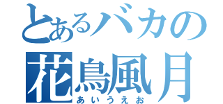 とあるバカの花鳥風月（あいうえお）