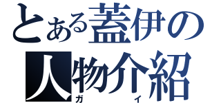 とある蓋伊の人物介紹（ガイ）