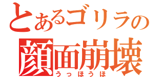 とあるゴリラの顔面崩壊（うっほうほ）