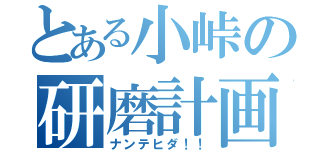 とある小峠の研磨計画（ナンテヒダ！！）