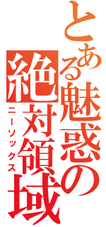 とある魅惑の絶対領域（ニーソックス）