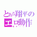 とある翔平のエロ動作（犯す…！）