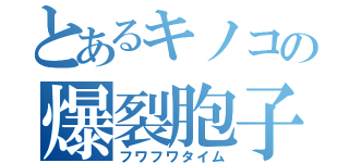 とあるキノコの爆裂胞子（フワフワタイム）