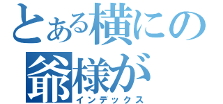 とある横にの爺様が（インデックス）