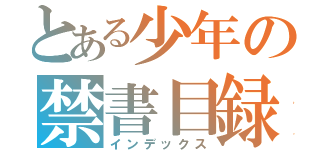 とある少年の禁書目録（インデックス）