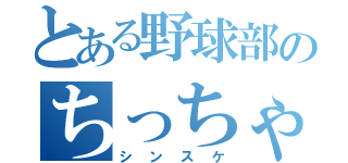 とある野球部のちっちゃい奴（シンスケ）