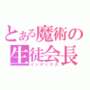 とある魔術の生徒会長はシスコン！？（インデックス）