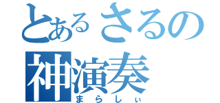 とあるさるの神演奏（まらしぃ）