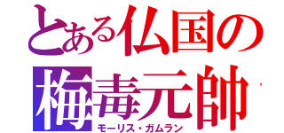 とある仏国の梅毒元帥（モーリス・ガムラン）