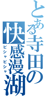 とある寺田の快感漫湖（ビシャビシャ）