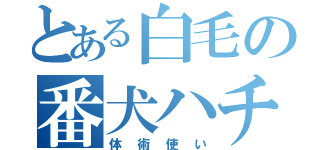 とある白毛の番犬ハチ（体術使い）