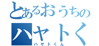 とあるおうちのハヤトくん（ハヤトくん）