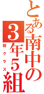 とある南中の３年５組（枝クラス）