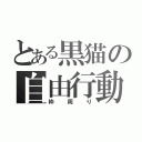 とある黒猫の自由行動（枠周り）