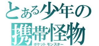 とある少年の携帯怪物（ポケットモンスター）