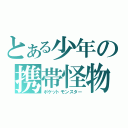 とある少年の携帯怪物（ポケットモンスター）