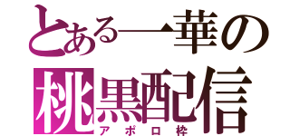 とある一華の桃黒配信（アポロ枠）