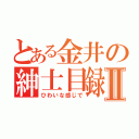 とある金井の紳士目録Ⅱ（ひわいな感じで）